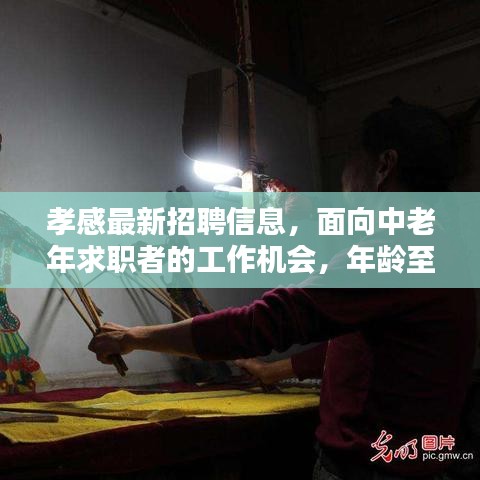 孝感最新招聘信息，面向中老年求职者的工作机会，年龄至55岁