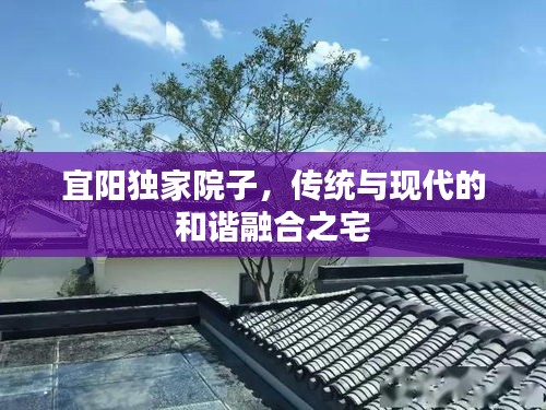宜阳独家院子，传统与现代的和谐融合之宅