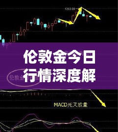 伦敦金今日行情深度解析
