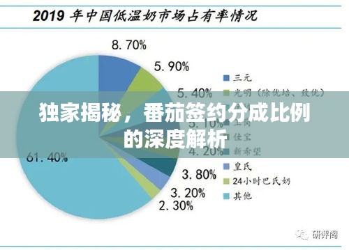 独家揭秘，番茄签约分成比例的深度解析