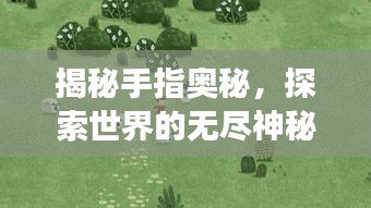 揭秘手指奥秘，探索世界的无尽神秘之旅