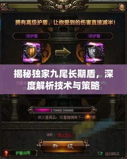 揭秘独家九尾长期盾，深度解析技术与策略