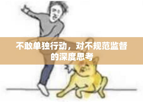 不敢单独行动，对不规范监督的深度思考