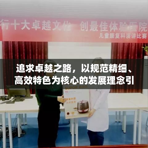 追求卓越之路，以规范精细、高效特色为核心的发展理念引领前行
