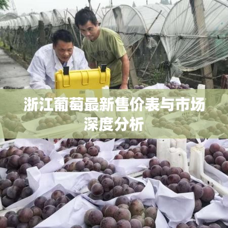浙江葡萄最新售价表与市场深度分析