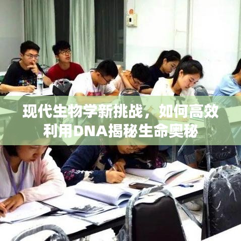 现代生物学新挑战，如何高效利用DNA揭秘生命奥秘