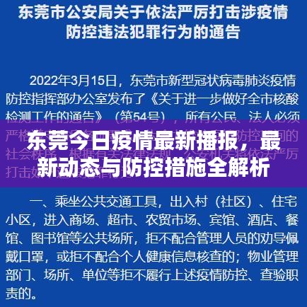 东莞今日疫情最新播报，最新动态与防控措施全解析