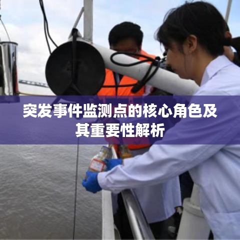突发事件监测点的核心角色及其重要性解析