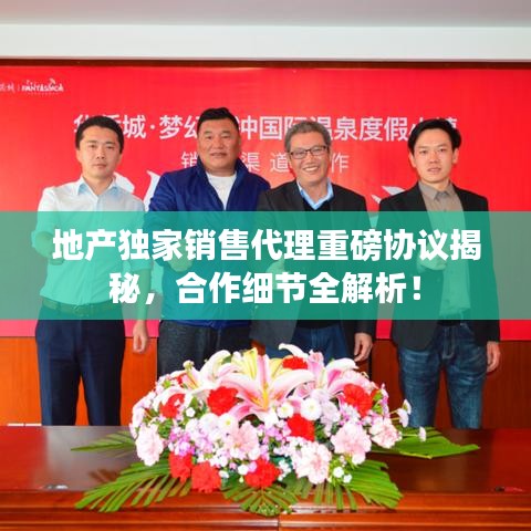 地产独家销售代理重磅协议揭秘，合作细节全解析！