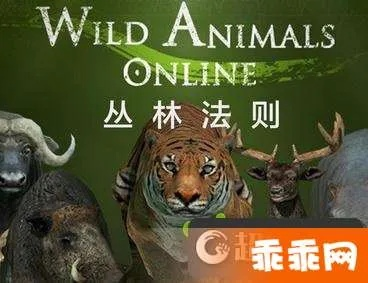 丛林法则激活码怎么同平安银行官方下载,精细化说明解析_特供款_v5.452