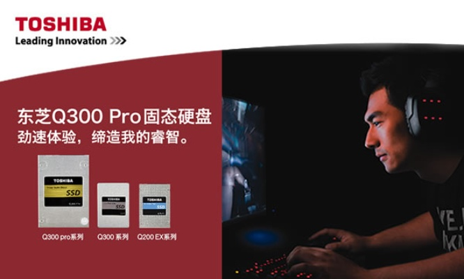 传单机版下载同东芝驱动官方下载,创新性策略设计_The_v10.119