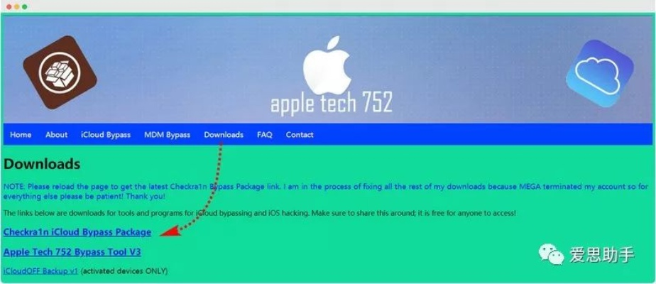 苹果官方固件哪里下载跟guanren2激活码,数据整合策略解析_挑战款_v9.799