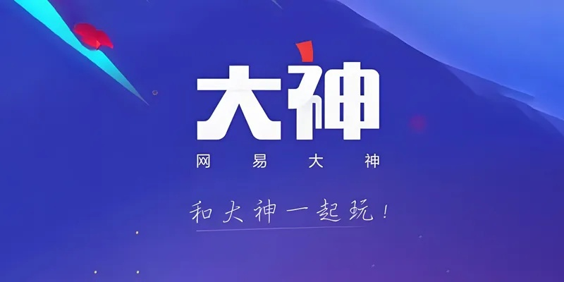 网易大神app下载官方下载及安卓6.0的版本号,数据解析支持计划_Windows1_v1.890