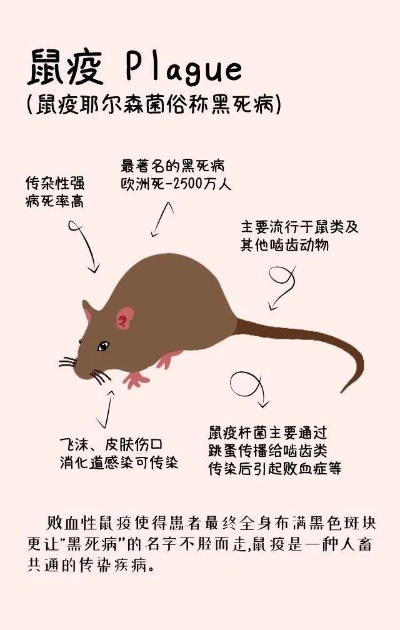 鼠疫 版本同表格激活码2016,专业问题执行 FHD版_v9.455