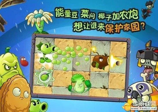 网络安全顾问眼中的软件深度解析，龙门客栈手游与植物大战僵尸2激活码的安全防护