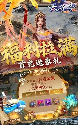 天子令手游跟激活码 登录，实地数据验证策略_钻石版1_v7.691，轻量级手游软件介绍